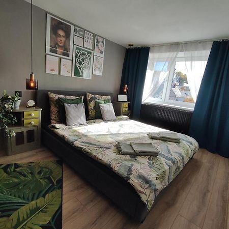 Dian Feelhome Banska Bela エクステリア 写真