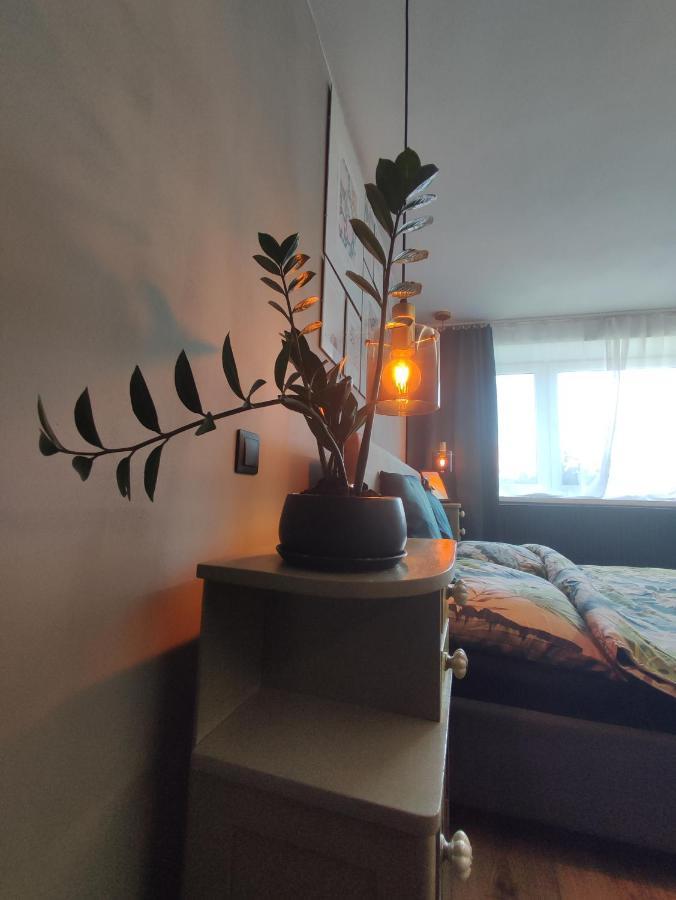 Dian Feelhome Banska Bela エクステリア 写真