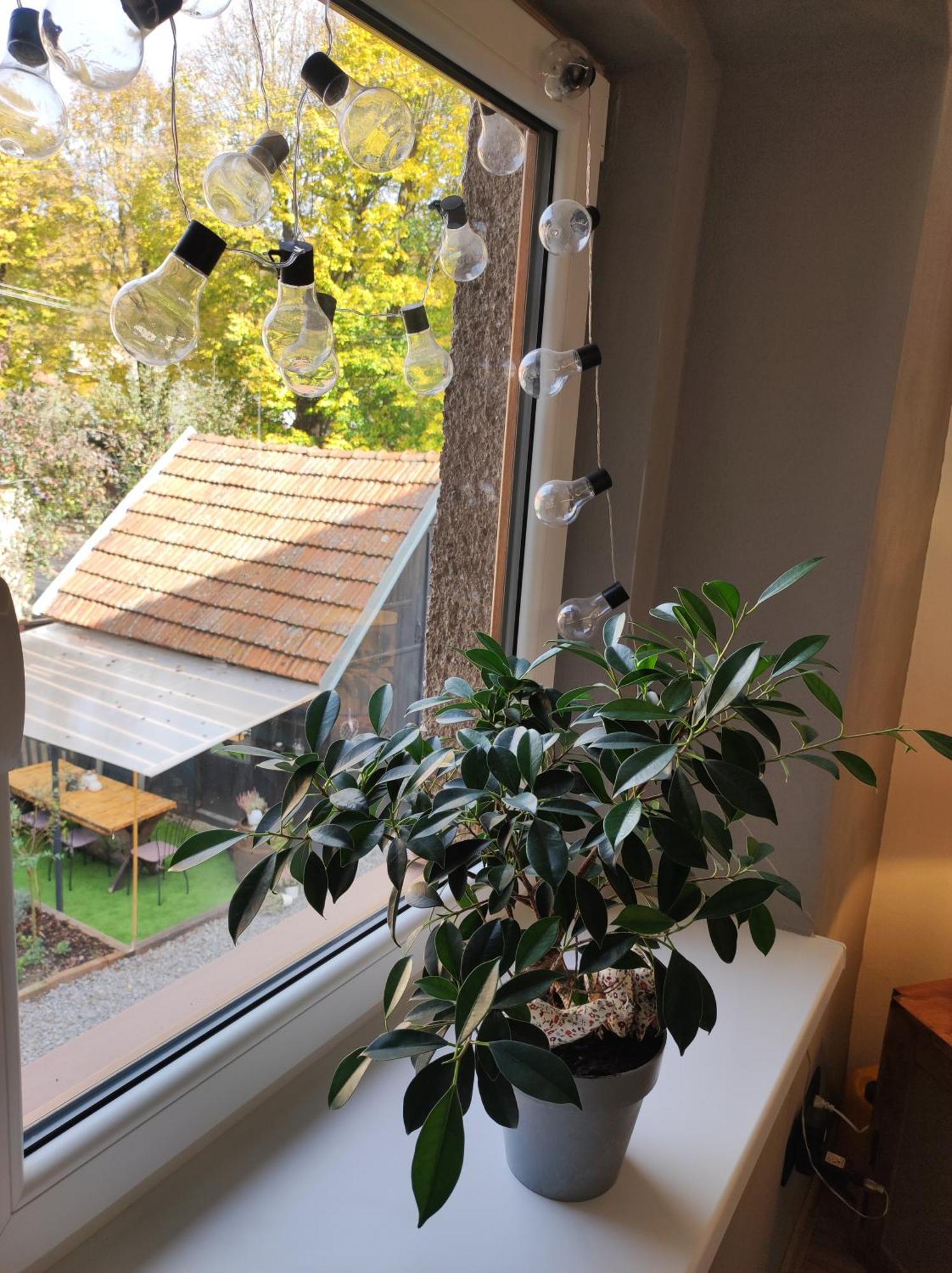 Dian Feelhome Banska Bela エクステリア 写真